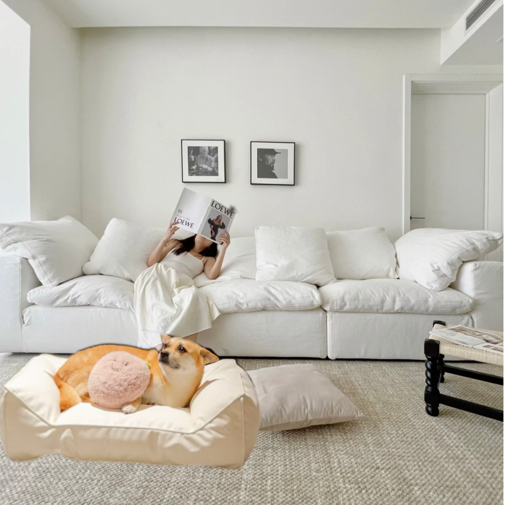 Cloud Sofa- Modern fabric sofa reviews- sectional for living room