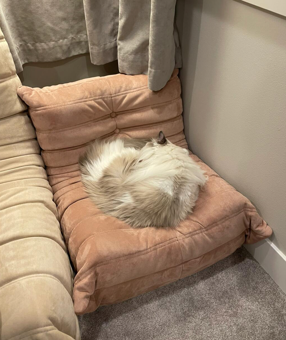 Cloud Caterpillar Sofa-TOGO毛毛虫沙发-MMCSF01-variety size