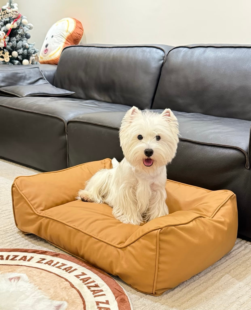 Human & Pet-Symbiosis-YYSF03-Pet Friendly mini sofa